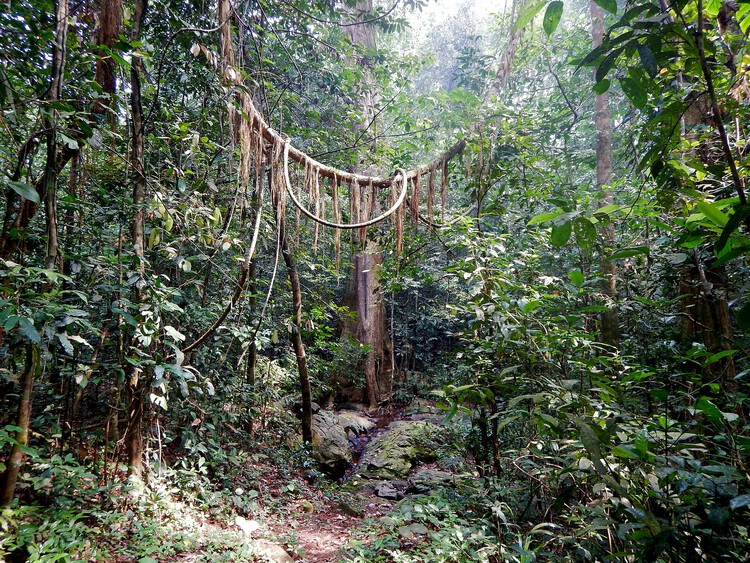 La Inteligencia Ecológica de los Paisajes Sagrados - Imagen 4 de 12