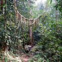 The Ecological Intelligence of Sacred Landscapes - Imagem 3 de 4