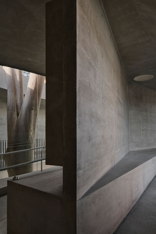 Gallery For A Tree "Flyover" Marcellin College  / Farrell Wray Architects - Image 17 of 38