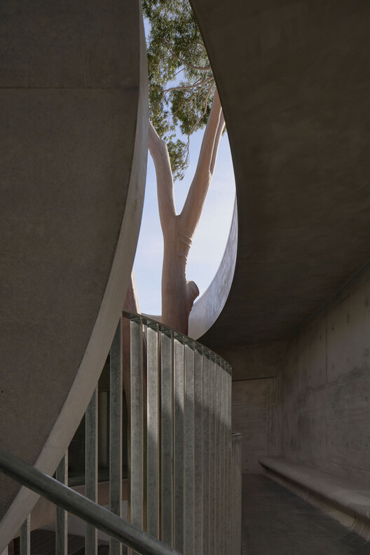 Gallery For A Tree "Flyover" Marcellin College  / Farrell Wray Architects - Image 12 of 38
