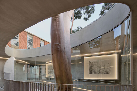 Gallery For A Tree "Flyover" Marcellin College  / Farrell Wray Architects - Interior Photography