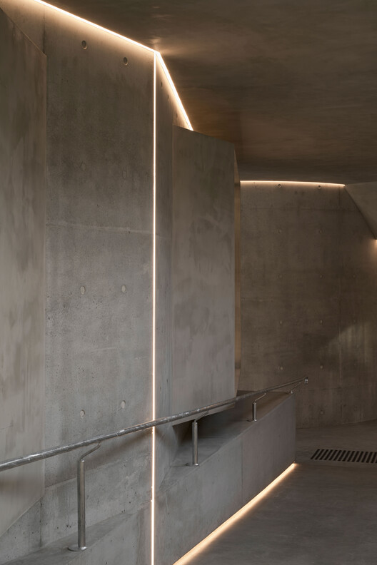 Gallery For A Tree "Flyover" Marcellin College  / Farrell Wray Architects - Image 25 of 38