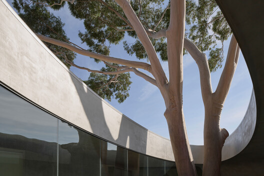 Gallery For A Tree "Flyover" Marcellin College  / Farrell Wray Architects - Image 11 of 38