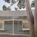Gallery For A Tree "Flyover" Marcellin College  / Farrell Wray Architects - Schools 