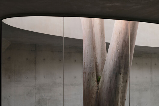 Gallery For A Tree "Flyover" Marcellin College  / Farrell Wray Architects - Image 20 of 38