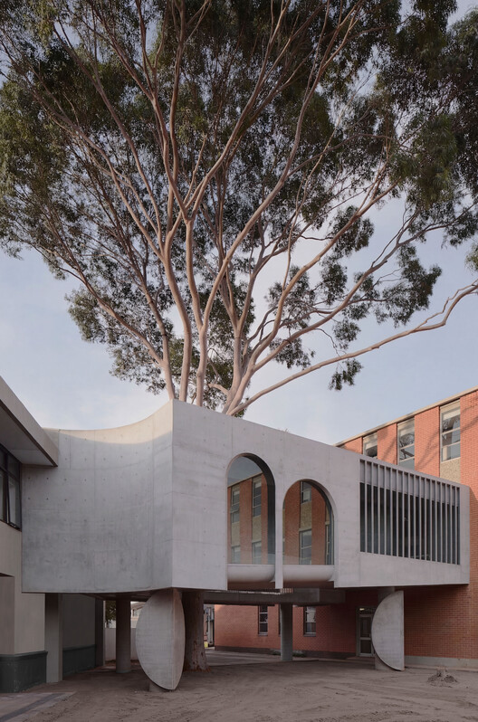 Gallery For A Tree "Flyover" Marcellin College  / Farrell Wray Architects - Exterior Photography, Schools 