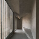 Gallery For A Tree "Flyover" Marcellin College  / Farrell Wray Architects - Schools 
