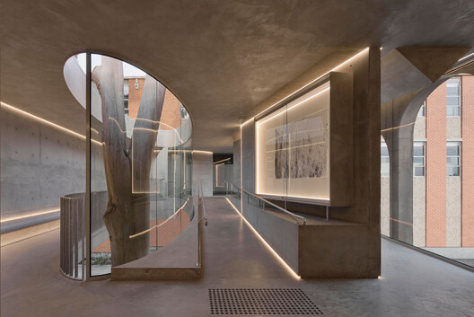 Gallery For A Tree "Flyover" Marcellin College  / Farrell Wray Architects - Image 26 of 38