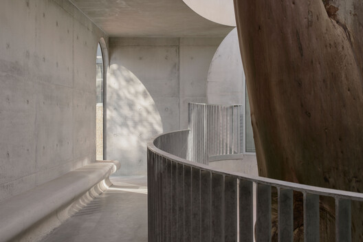 Gallery For A Tree "Flyover" Marcellin College  / Farrell Wray Architects - Image 7 of 38