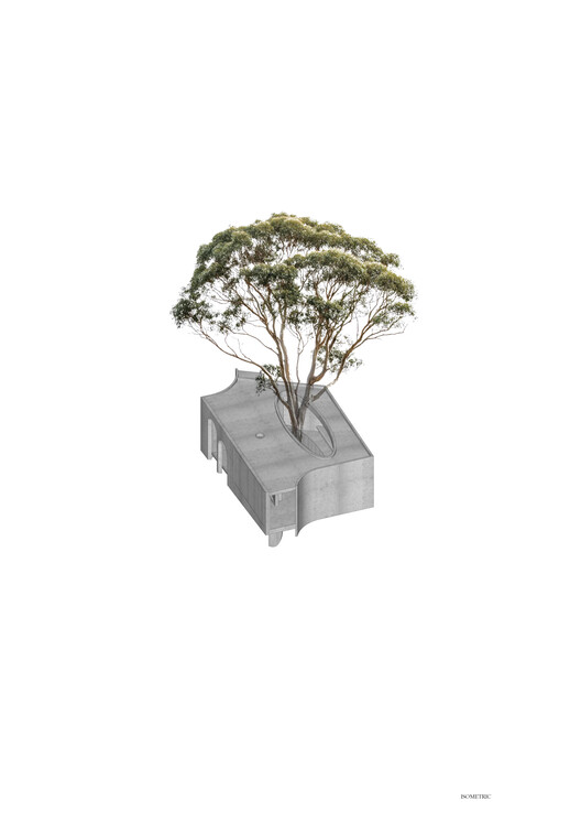 Gallery For A Tree "Flyover" Marcellin College  / Farrell Wray Architects - Image 36 of 38