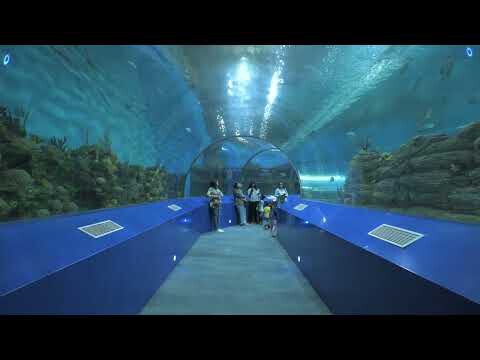 Aquatic Gallery / INI Design Studio Aquatic Gallery / INI Design Studio - Image 19 of 25