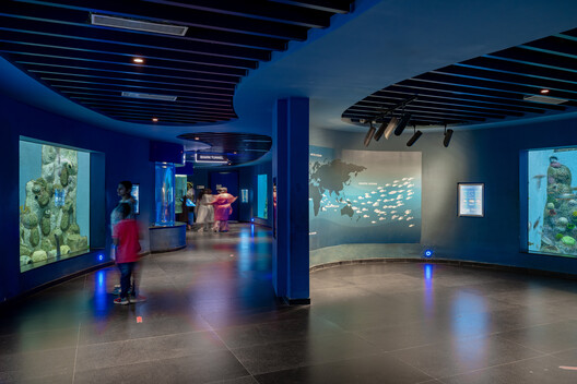 Aquatic Gallery / INI Design Studio Aquatic Gallery / INI Design Studio - Interior Photography
