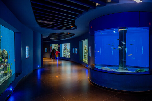 Aquatic Gallery / INI Design Studio Aquatic Gallery / INI Design Studio - Image 17 of 25