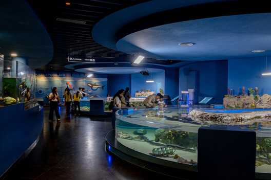 Aquatic Gallery / INI Design Studio Aquatic Gallery / INI Design Studio - Interior Photography