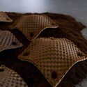 Agricultural Afterlives: When Waste Becomes Architecture - Image 3 of 4