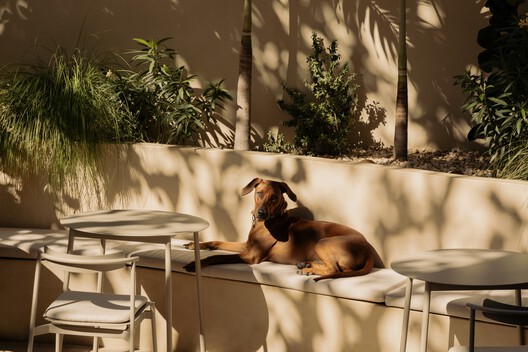 Estero Residences + Gamba café / Barde + vanVoltt - Interior Photography, Chair, Patio