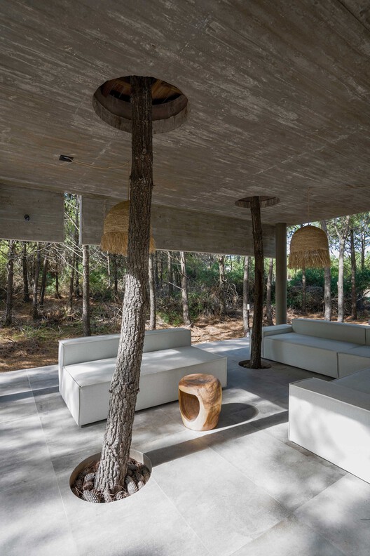 4H House / Besonias Almeida Arquitectos 4H House / Besonias Almeida Arquitectos - Interior Photography, Living Room, Wood, Column