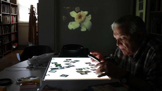 What Can Architectural Practice Learn From Botany? What Can Architectural Practice Learn From Botany? - Image 7 of 17