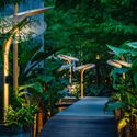 What Can Architectural Practice Learn From Botany? - Image 3 of 4