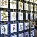 What Can Architectural Practice Learn From Botany? - Image 1 of 4