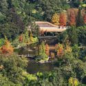 What Can Architectural Practice Learn From Botany? - Image 2 of 4