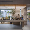 What Can Architectural Practice Learn From Botany? - Image 4 of 4