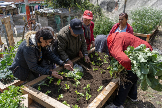 Help Age Urban Gardens / Yemail Arquitectura Help Age Urban Gardens / Yemail Arquitectura - Garden