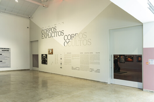 Explicit Bodies, Hidden Bodies Exhibition / Vão Explicit Bodies, Hidden Bodies Exhibition / Vão - Image 11 of 16