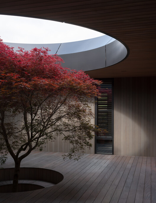 Oculus House / Condon Scott Architects - Image 4 of 15