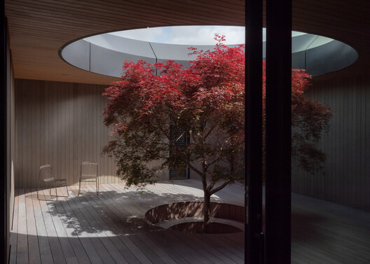 Oculus House / Condon Scott Architects - Interior Photography