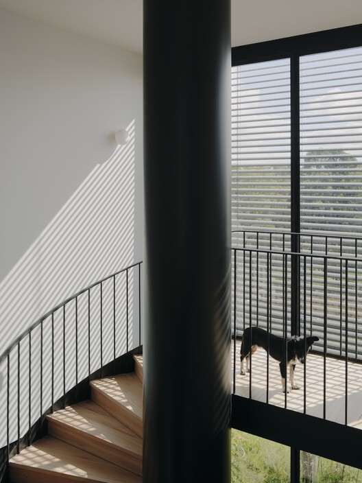 No.41 House / Tristan Burfield No.41 House / Tristan Burfield - Interior Photography, Glass, Balcony, Handrail