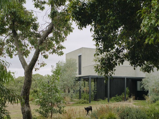 No.41 House / Tristan Burfield No.41 House / Tristan Burfield - Exterior Photography