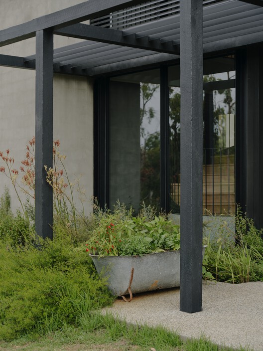 No.41 House / Tristan Burfield No.41 House / Tristan Burfield - Exterior Photography, Garden, Concrete