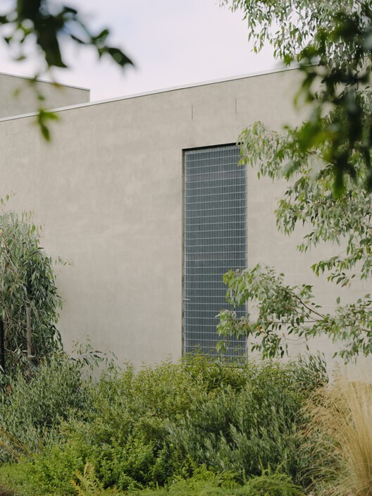 No.41 House / Tristan Burfield No.41 House / Tristan Burfield - Exterior Photography, Garden, Concrete