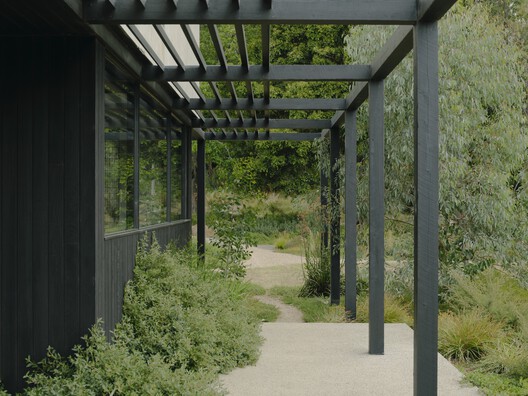 No.41 House / Tristan Burfield No.41 House / Tristan Burfield - Exterior Photography, Wood, Garden