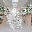 Halcom Offices / KIP arhitekti - Interior Photography, Offices Interiors, Stairs, Handrail