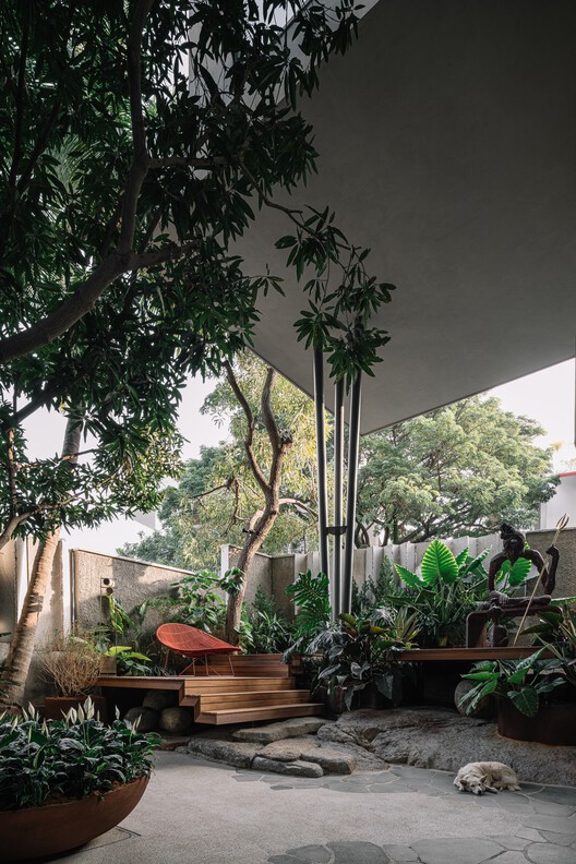 Coco Beans House / Aamir and Hameeda - Exterior Photography, Garden, Courtyard