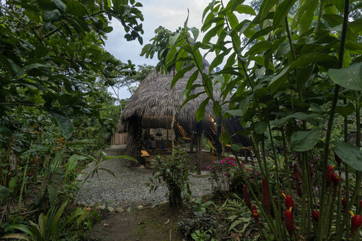 Hampi Samay Wasi: Regenerative Architecture and Ancestral Memory in the Kichwa Amazon / Allwa Arquitectura Hampi Samay Wasi: Regenerative Architecture and Ancestral Memory in the Kichwa Amazon / Allwa Arquitectura - Image 15 of 16
