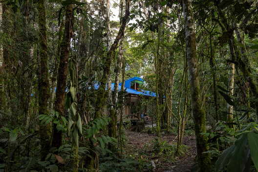 WildSumaco Research Pavilion / Caá Porá Arquitectura - Image 9 of 31