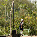 Arriaga Linear Park / Laboratorio Regional de Arquitectura - Exterior Photography, Park, Garden