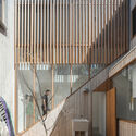 Ghost Gum House Extension / Adriano Pupilli Architects - Houses