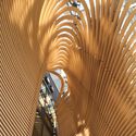 Timber Studio / Koichi Takada Architects - Office Buildings