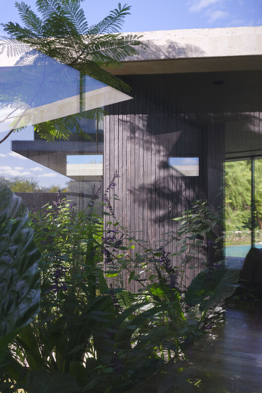 Courtyard House / Estudio Simbiosis - Exterior Photography, Garden