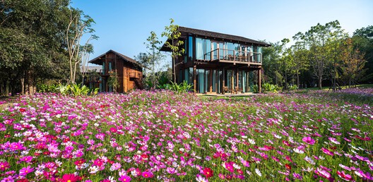 Nachan the Antique Courtyard Hotel / PAVA architects - Exterior Photography, Garden