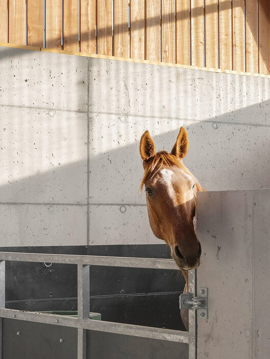Stable / Carmen Maurice Architecture - Interior Photography, Wood