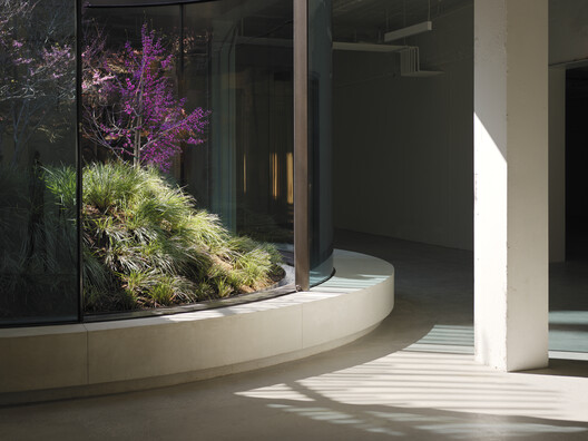 9720 Wilshire Building / Montalba Architects 9720 Wilshire Building / Montalba Architects - Image 13 of 20