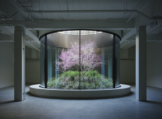 9720 Wilshire Building / Montalba Architects 9720 Wilshire Building / Montalba Architects - Image 4 of 20