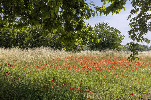 Park of the Reggia di Rivalta / Openfabric + caarpa + FM Ingegneria Park of the Reggia di Rivalta / Openfabric + caarpa + FM Ingegneria - Image 13 of 25