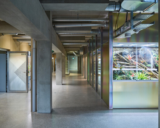 Limmattal Cantonal School / PENZISBETTINI Architekten Limmattal Cantonal School / PENZISBETTINI Architekten - Interior Photography, Lighting, Glass