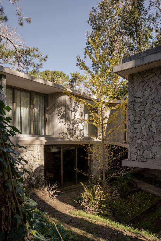 Treinta y Nueve Árboles / Grizzo Studio Treinta y Nueve Árboles / Grizzo Studio - Exterior Photography, Concrete
